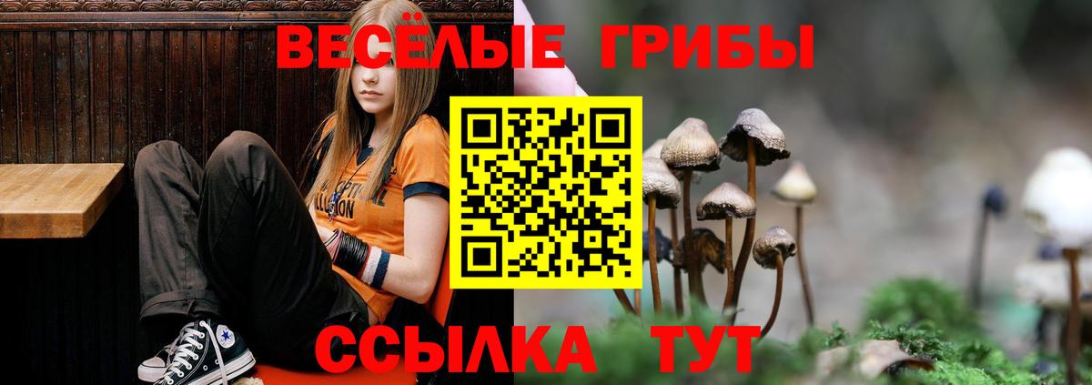 Галлюциногенные грибы MAGIC MUSHROOMS Кореновск