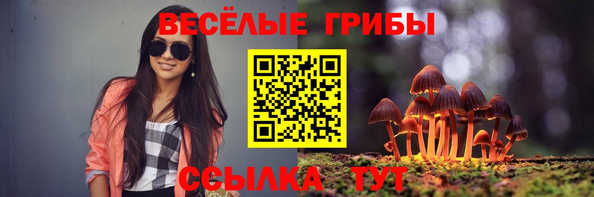 Кореновск  где купить наркотик  Вход с VPN  Галлюциногенные грибы мухоморы 